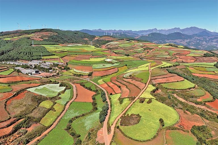 原文配图 1