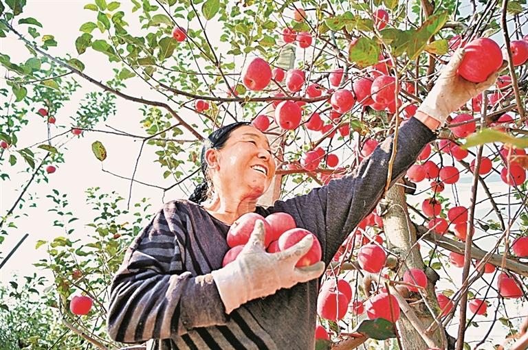 原文配图 5
