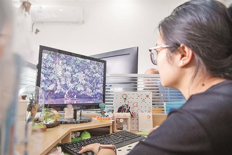原文配图 4