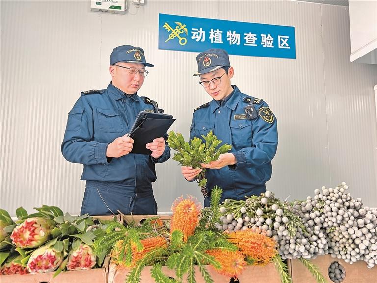 原文配图 2