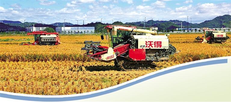 原文配图 1