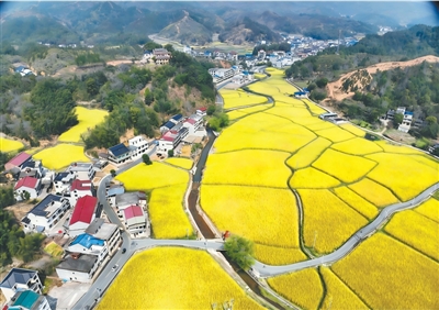 原文配图 1